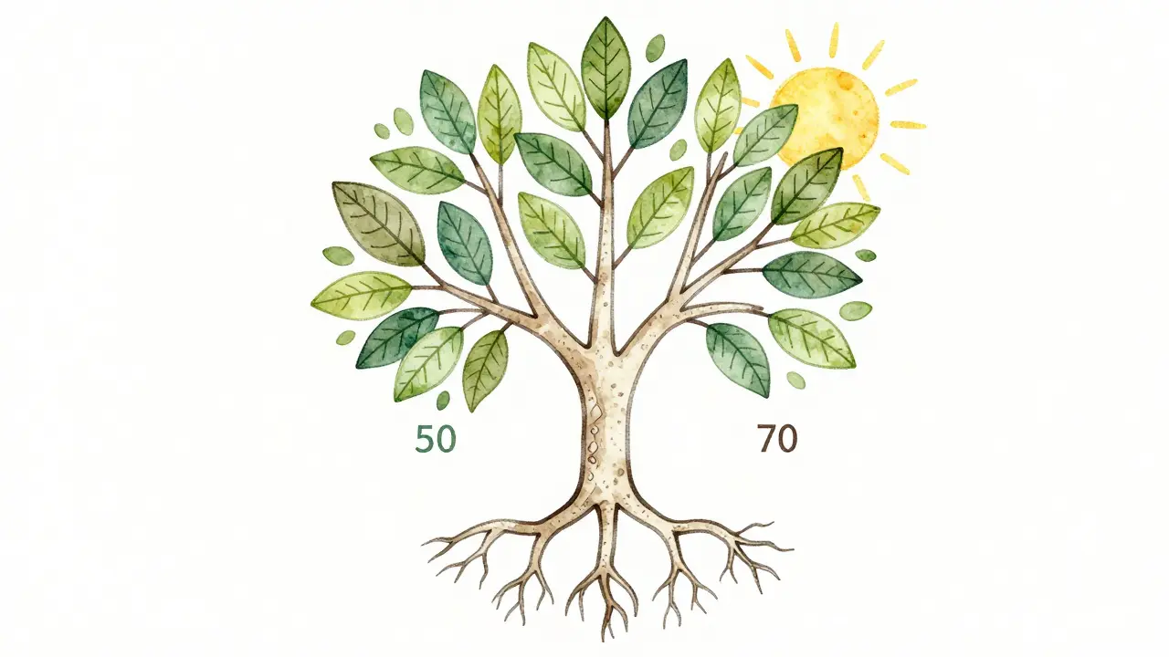 Strom s kořeny jako kostmi a větvemi jako kolagenovými vlákny, symbolizující dlouhodobou podporu kloubů.