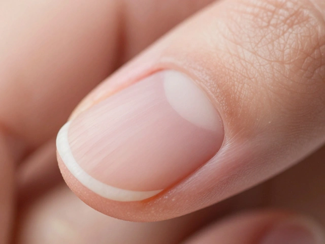 Jak se čte aš kroužkem: kompletní průvodce pro začátečníky a pokročilé